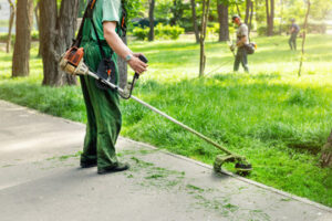 Lawn Care