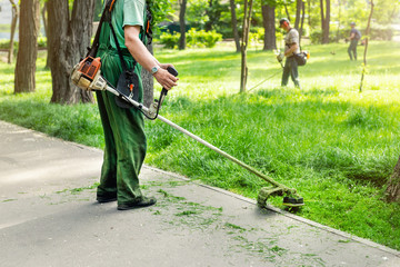 Lawn Care